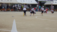 RIMG8353