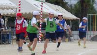 RIMG8561