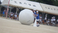 RIMG8464
