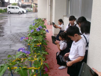 100_0435